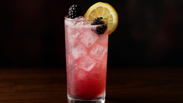 Blackberry Fizz en frisk och bubblande sommarfavorit full av smak och färg